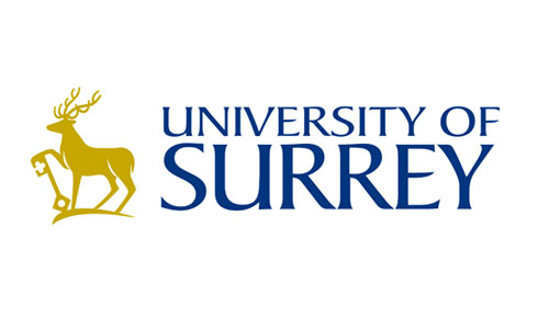 HR payroll system procurement university surrey